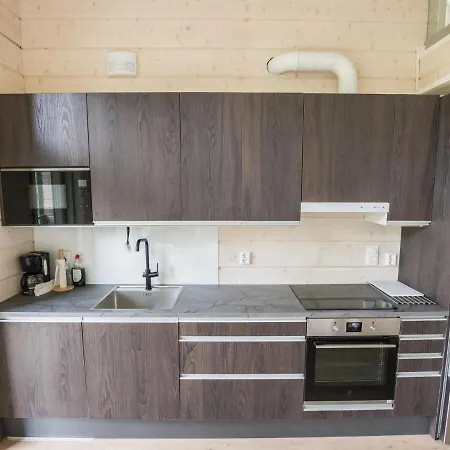 Rikinaenranta B By Interhome Holiday home Levi